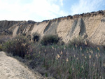 Grupo Mineralógico de Alicante. Lagunas de Rabasa. Alicante   