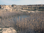 Grupo Mineralógico de Alicante. Lagunas de Rabasa. Alicante   