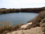 Grupo Mineralógico de Alicante.  Lagunas de Rabasa. Alicante    