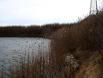 Grupo Mineralógico de Alicante.  Lagunas de Rabasa. Alicante    