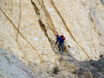 Grupo Mineralógico de Alicante. Celestina. Lagunas de Rabasa. Alicante. Celestina   