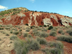 Grupo Mineralógico de Alicante. Loma Badá. Petrer. Alicante   