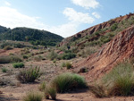 Grupo Mineralógico de Alicante.  Loma Badá. Petrer. Alicante    