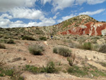 Grupo Mineralógico de Alicante. Loma Badá. Petrer. Alicante    