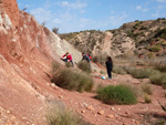 Grupo Mineralógico de Alicante. Loma Badá. Petrer. Alicante   