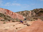 Grupo Mineralógico de Alicante.   Loma Badá. Petrer. Alicante  