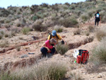 Grupo Mineralógico de Alicante.   Loma Badá. Petrer. Alicante  