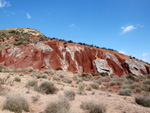 Grupo Mineralógico de Alicante.   Loma Badá. Petrer. Alicante  