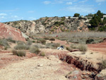 Grupo Mineralógico de Alicante.   Loma Badá. Petrer. Alicante  