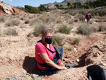 Grupo Mineralógico de Alicante. Loma Badá. Petrer. Alicante  