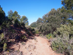 Grupo Mineralógico de Alicante. Los Yesares. Camporrobles. Valencia.