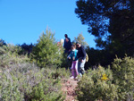 Grupo Mineralógico de Alicante. Los Yesares. Camporrobles. Valencia.