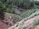 Grupo Mineralógico de Alicante. Los Yesares. Camporrobles. Valencia.