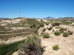 Grupo Mineralógico de Alicante. Barranco del Mulo. Ulea. Murcia