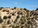 Grupo Mineralógico de Alicante. Barranco del Mulo. Ulea. Murcia