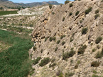 Grupo Mineralógico de Alicante. Barranco del Mulo. Ulea. Murcia