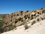 Grupo Mineralógico de Alicante. Barranco del Mulo. Ulea. Murcia