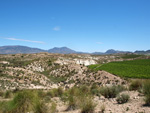 Grupo Mineralógico de Alicante. Barranco del Mulo. Ulea. Murcia