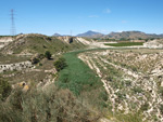 Grupo Mineralógico de Alicante. Barranco del Mulo. Ulea. Murcia