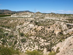 Grupo Mineralógico de Alicante.Barranco del Mulo. Ulea. Murcia 