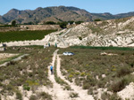 Grupo Mineralógico de Alicante. Barranco del Mulo. Ulea. Murcia