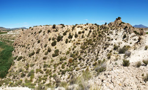 Grupo Mineralógico de Alicante. Barranco del Mulo. Ulea. Murcia