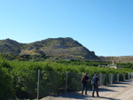 Grupo Mineralógico de Alicante. Cabezo Negro. Zeneta. Murcia