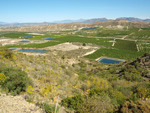 Grupo Mineralógico de Alicante. Cabezo Negro. Zeneta. Murcia