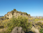 Grupo Mineralógico de Alicante. Cabezo Negro. Zeneta. Murcia