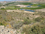 Grupo Mineralógico de Alicante. Cabezo Negro. Zeneta. Murcia