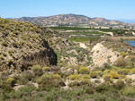 Grupo Mineralógico de Alicante. Cabezo Negro. Zeneta. Murcia