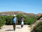 Grupo Mineralógico de Alicante. Cabezo Negro. Zeneta. Murcia