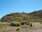 Grupo Mineralógico de Alicante. Cabezo Negro. Zeneta. Murcia