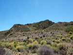 Grupo Mineralógico de Alicante. Cabezo Negro. Zeneta. Murcia