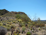 Grupo Mineralógico de Alicante.   Cabezo Negro. Zeneta. Murcia  