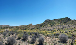 Grupo Mineralógico de Alicante. Cabezo Negro. Zeneta. Murcia