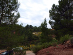 Grupo Mineralógico de Alicante. Barranco de la Escarabehuela y Retamal. Enguidanos / La Pesquera. Cuenca