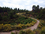 Grupo Mineralógico de Alicante. Barranco de la Escarabehuela y Retamal. Enguidanos / La Pesquera. Cuenca