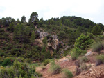 Grupo Mineralógico de Alicante. Barranco de la Escarabehuela y Retamal. Enguidanos / La Pesquera. Cuenca