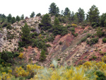 Grupo Mineralógico de Alicante. Barranco de la Escarabehuela y Retamal. Enguidanos / La Pesquera. Cuenca