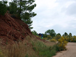 Grupo Mineralógico de Alicante. Barranco de la Escarabehuela y Retamal. Enguidanos / La Pesquera. Cuenca