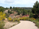 Grupo Mineralógico de Alicante. Barranco de la Escarabehuela y Retamal. Enguidanos / La Pesquera. Cuenca 