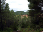 Grupo Mineralógico de Alicante. Barranco de la Escarabehuela y Retamal. Enguidanos / La Pesquera. Cuenca