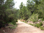 Grupo Mineralógico de Alicante. Barranco de la Escarabehuela y Retamal. Enguidanos / La Pesquera. Cuenca