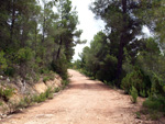 Grupo Mineralógico de Alicante. Barranco de la Escarabehuela y Retamal. Enguidanos / La Pesquera. Cuenca