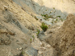 Grupo Mineralógico de Alicante. Canteras de arcilla situadas en la Zona del Pla, junto a la siera de los Tajos. Agost. Alicante