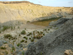 Grupo Mineralógico de Alicante. Canteras de arcilla situadas en la Zona del Pla, junto a la siera de los Tajos. Agost. Alicante