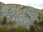 Grupo Mineralógico de Alicante.Canteras de arcilla situadas en la Zona del Pla, junto a la siera de los Tajos. Agost. Alicante 