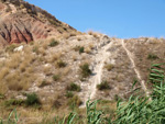 Grupo Mineralógico de Alicante. Loma Badá. Petrer. Alicante   