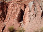 Grupo Mineralógico de Alicante. Loma Badá. Petrer. Alicante   